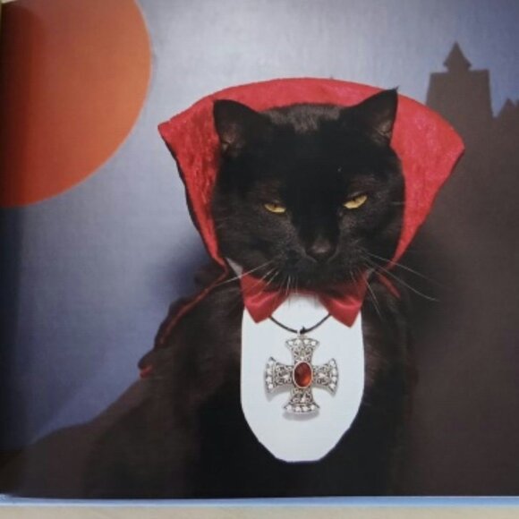 The Best Cat Book Ever - Kate Funk with AC the Cat - hardback - Picture 7 of 7